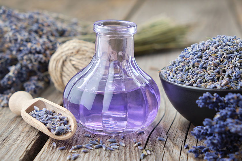 Bottle of essential lavender oil or infused lavender flower water bowl